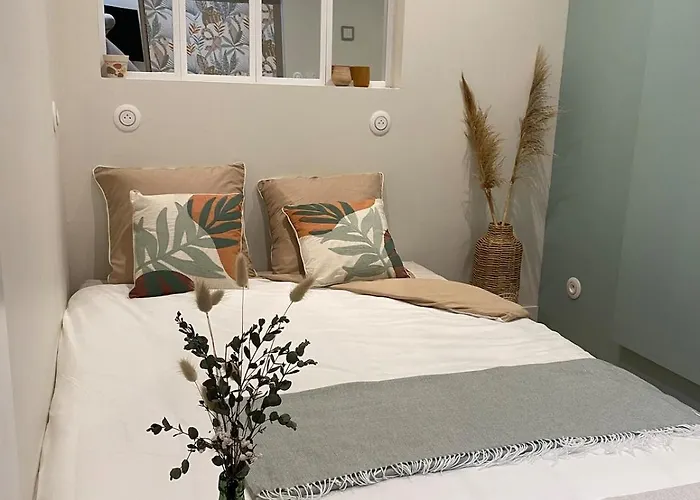 Le Saint Sauveur - Hyper Centre De Caen- Ultra Cosy